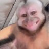 teddy's profile picture