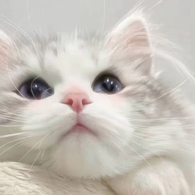 ellen___00's profile picture