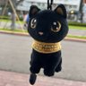 清道夫 的头像