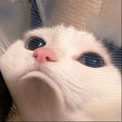 Kucing Sedih's profile picture