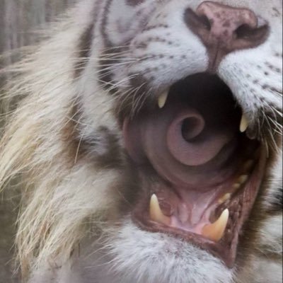 mal's profile picture
