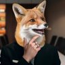 DerSchweigefuchs 的头像