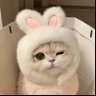 🍋 ᴮᴱᶜᴷᶠᴿᴱᴱᴺ 的头像