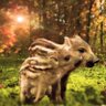 うりうり profil fotoğrafı