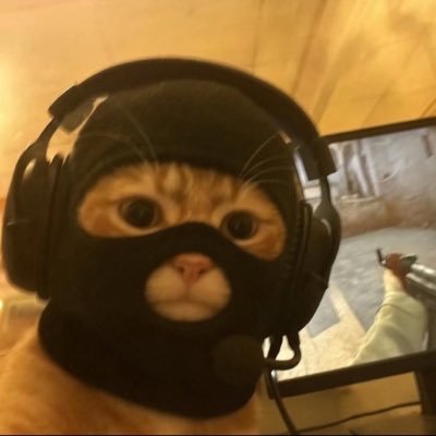 avda gülev's profile picture