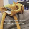 Anurag 的头像