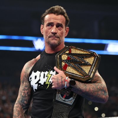 Friendly Wrestling's profile picture