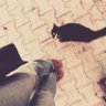 Sama's profile picture