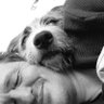 Bosko, Boskolito oder König!'s profile picture