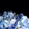 Фото профиля こっこっこ