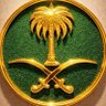 محمد المطيري's profile picture