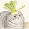 じゃがいもの芽🌱's profile picture