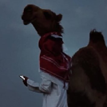 iotb10's profile picture