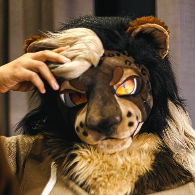 Kyro 🦁's profile picture