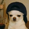 Profilbild von ที.🐾🍀