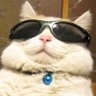 HawaiianPizza87's profile picture