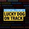 Lucky Dog On Track's profile picture
