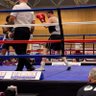 Profilbild von Boxing Sonny