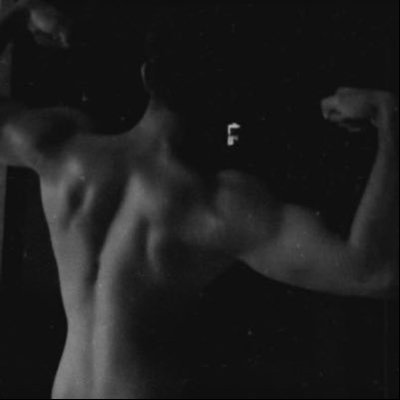 shxxxm3's profile picture