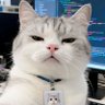 skilliskillixx 的头像