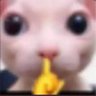 ayam_beranak's profile picture