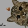 nekinsan profil fotoğrafı