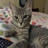 peach daugherty's profile picture