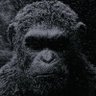 . profil fotoğrafı