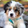 Sammie profil fotoğrafı
