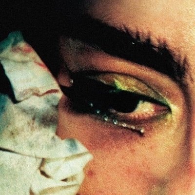 verdecimice's profile picture