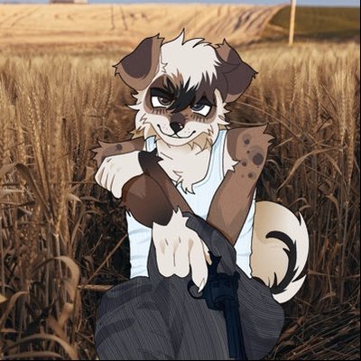 jay🐾's profile picture