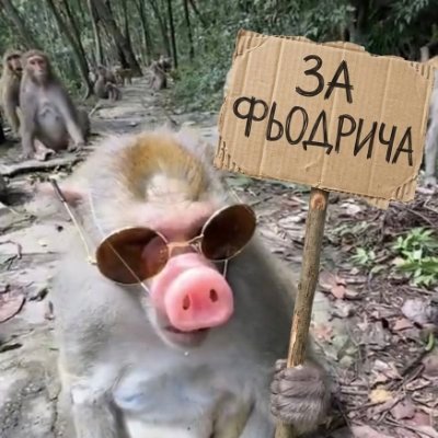 ForestVolyn's profile picture