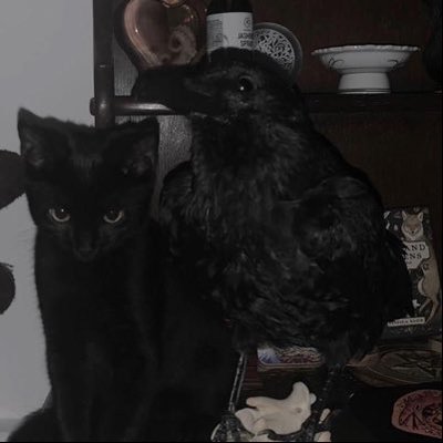 aolszy's profile picture