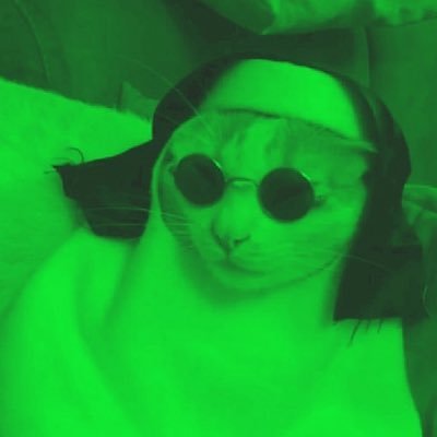 𝐀𝐧𝐧𝐚 ❇️¹²⁷'s profile picture