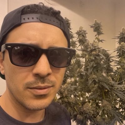SplitDaWig 🪴's profile picture