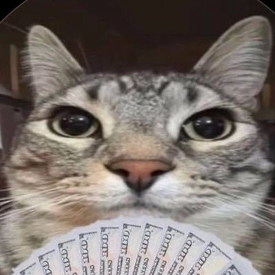 psinaaa's profile picture