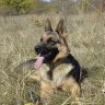 YM0361937 profil fotoğrafı