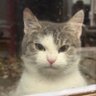 Profilbild von buse