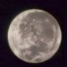 rani's profile picture