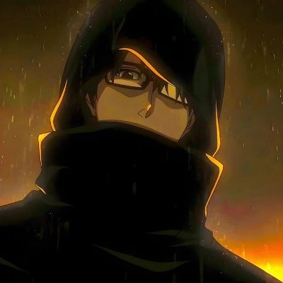 Ronin_VB_King's profile picture