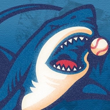 Clearwater Threshers's profile picture
