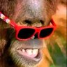 Profilbild von Hamid Lahore