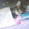 Profilbild von Emy