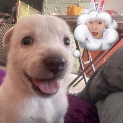 oodeer's profile picture