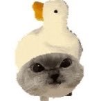 Pradwa's profile picture