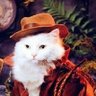 Jau's profile picture