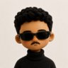 Profilbild von P V