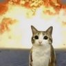 J â―^- Ë -^âž profil fotoÄrafÄą