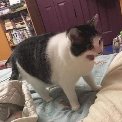で's profile picture