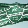 Фото профиля اهلاوي و لي الفخر